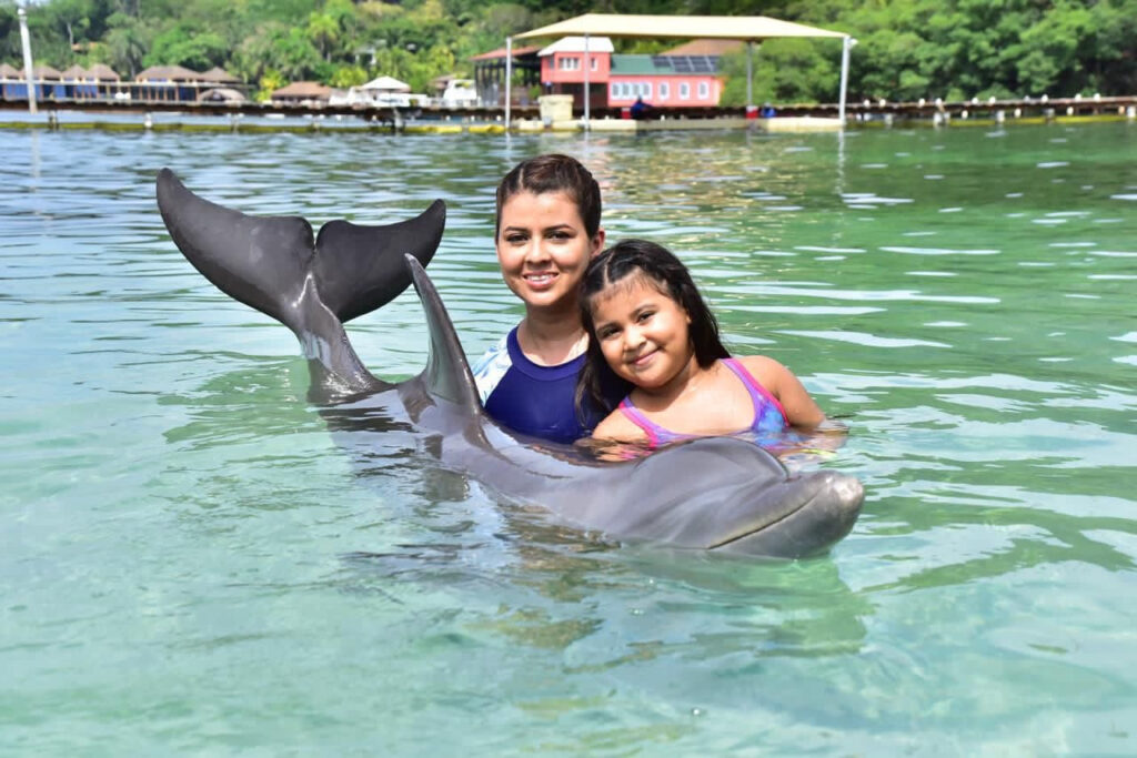 Roatán Dolphin Encounter with Private Transportation