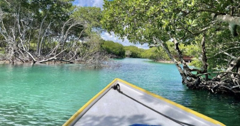 Roatán East End & Mangrove Tunnel Boat Tour with Turtle Rescue Visit — photo 2