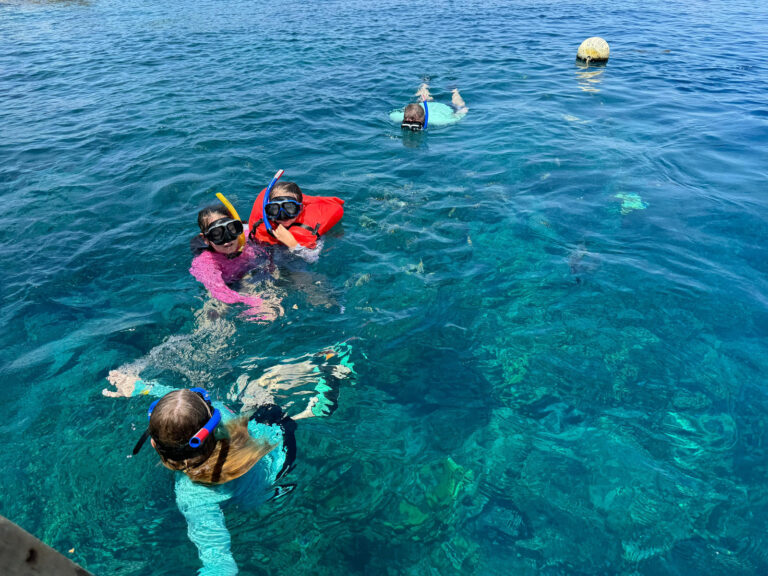 Roatán 3-Stop Snorkeling Adventure: West Bay, West End & Sandy Bay — photo 2