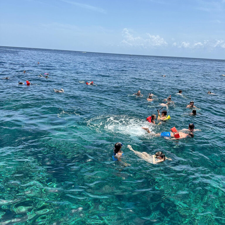 Roatán Snorkeling Tour with Monkeys & Sloths Sanctuary + West Bay Beach Day Pass — photo 2