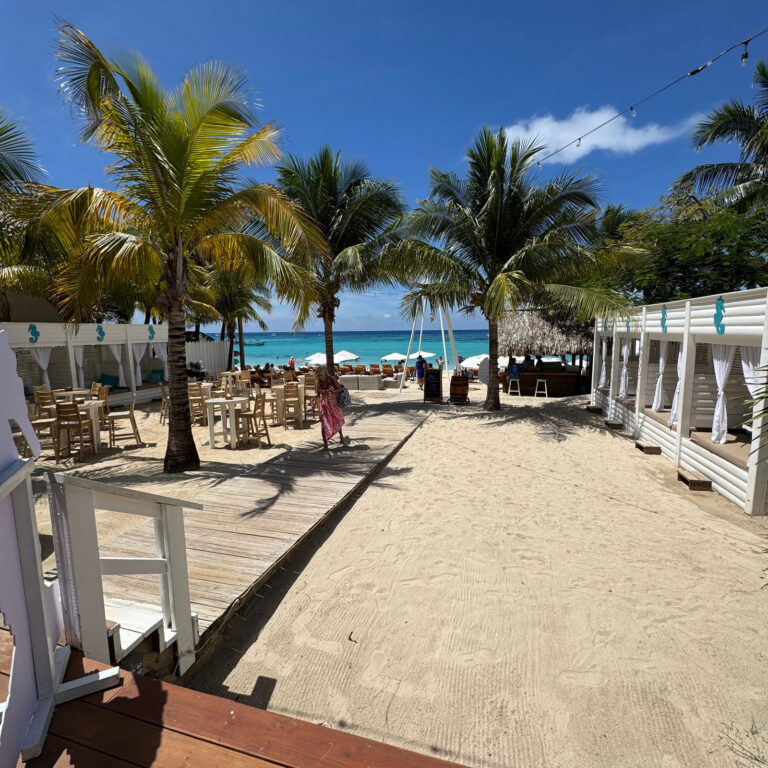 Beach club walkway with palm trees at West Bay, Roatán